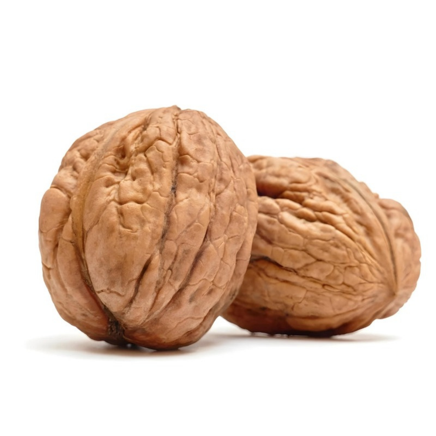 Buy Whole Walnuts With Shell | Premium Kashmiri Walnuts