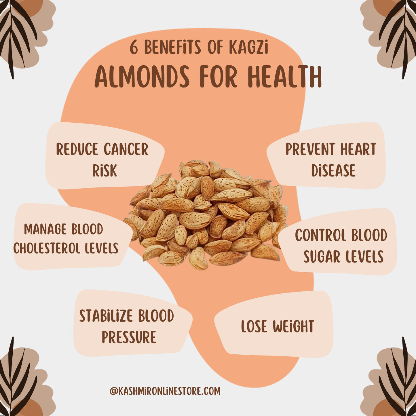 Paper Shell Almonds With Shell-