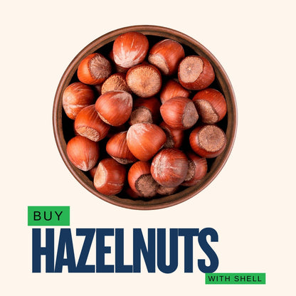 Raw Hazelnuts with Shell – Whole Bulk Pieces Halves | Ruh E Kashmir Online Store
