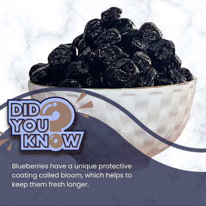 Buy Premium Dry Blueberries| Dehydrated Dry Fruits | ( Seedless )