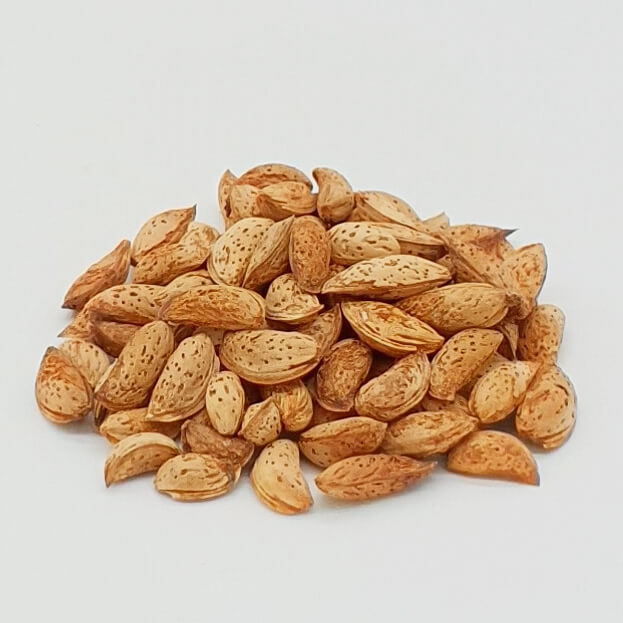 Paper Shell Almonds With Shell-