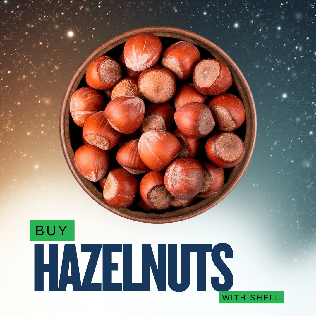 Raw Hazelnuts with Shell – Whole Bulk Pieces Halves | Ruh E Kashmir Online Store