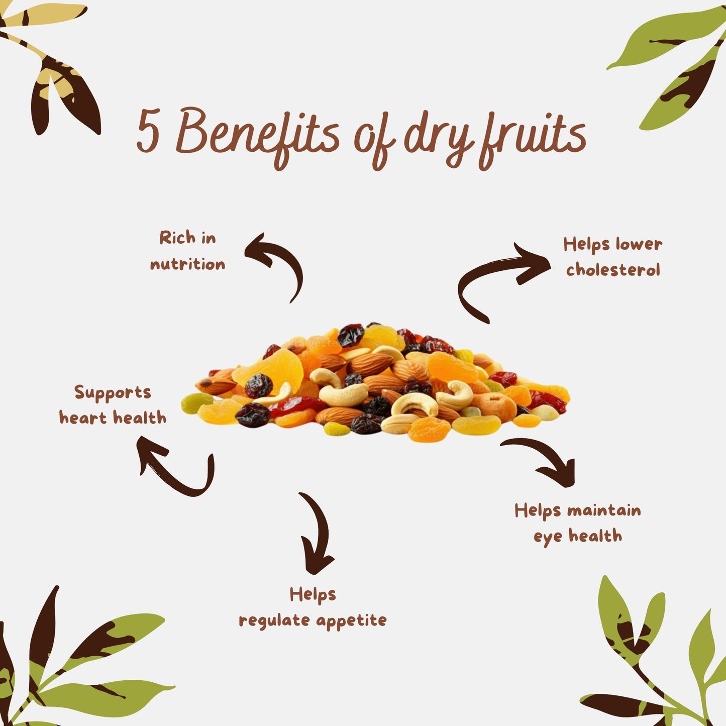 Buy Premium Trail Mix| nut seeds & dried fruits Online